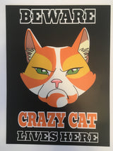 Crazy Cat Sticker